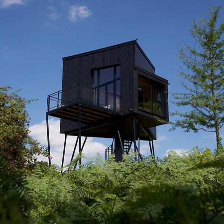 Treeangle - K1 Baumhaus Villa Odenthal Eksteriør billede